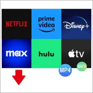 Pazu StreamGet All-In-One Video Downloader 2.7.2

